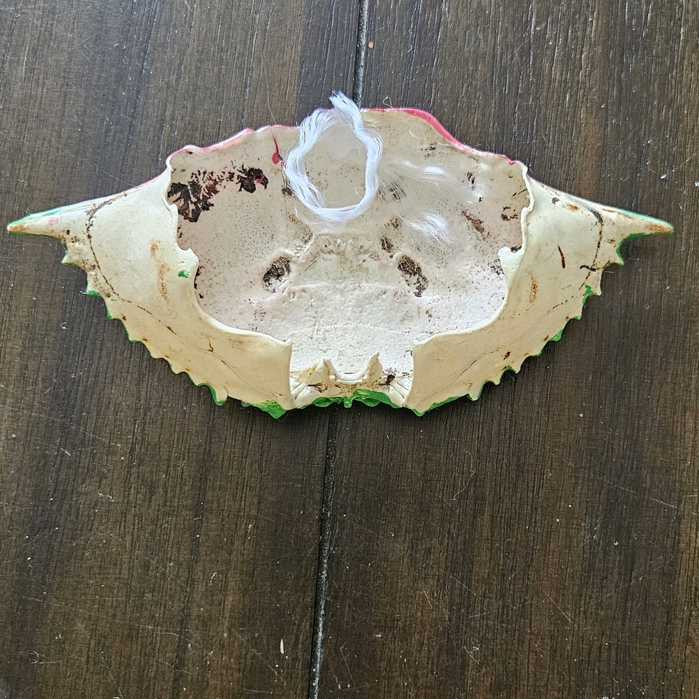 Watermelon Crab Shell Decor - Picture 2 of 2